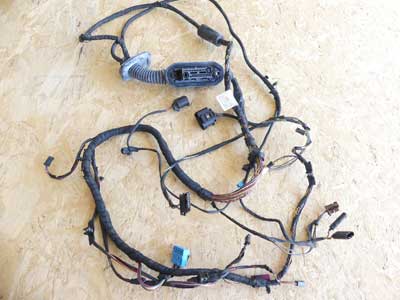 BMW Door Wiring Harness, Rear Left or Right 61129302938 13-15 F01 LCI 740i 750i Alpina B7